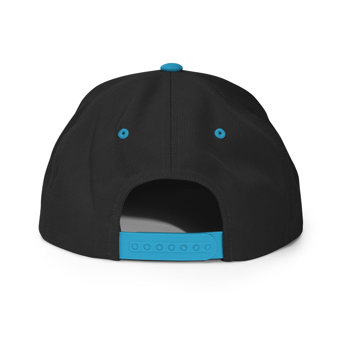 SNAPBACK
