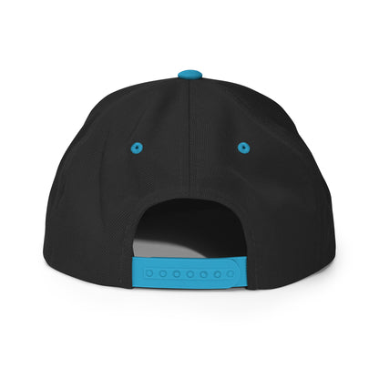 SNAPBACK
