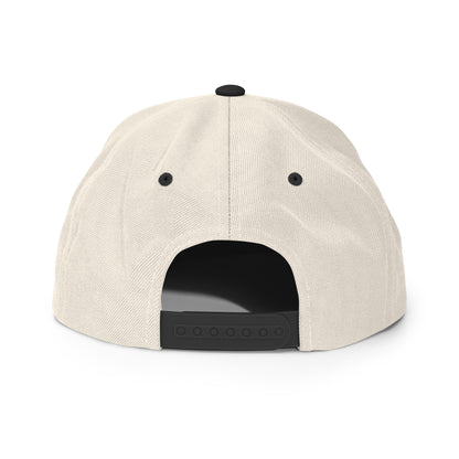 SNAPBACK