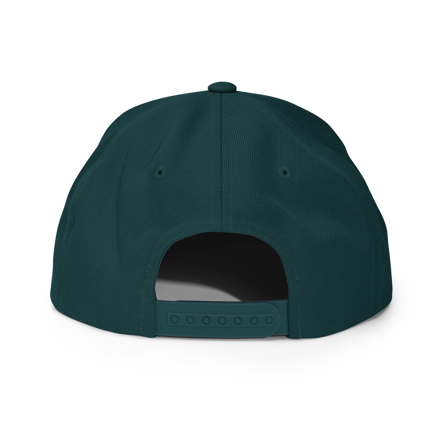 SNAPBACK