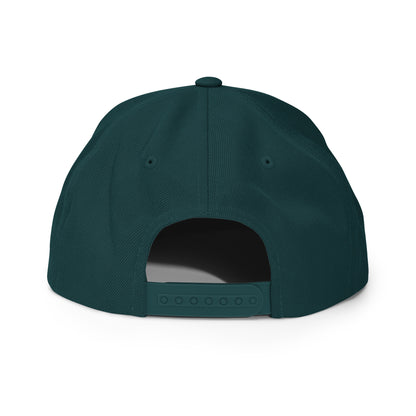 SNAPBACK
